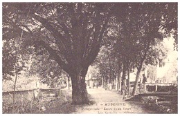 N°5    AUBERIVE   PROMENADE "ENTRE DEUX EAUX"  CARTE ANIMEE - Auberive