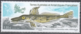 TAAF 2020 Poisson Grande Gueule à Voile Neuf ** - Unused Stamps