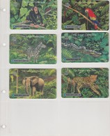 THE JUNGLE COLLECTION MERCURYCARD - [10] Colecciones