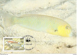1984 - GRENADA - Ile Grenade - Coral Fleet Fish - Poisson Corail Razorfish WWF - Grenada