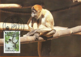 Republica De Honduras 1990 , Geoffroy`s Spider Monkey - Singe Araignée  WWF - Honduras