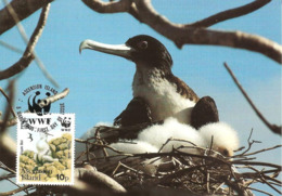 1990 - Ascension Island - Greater Frigatebird - Oiseau Fregate Nid  WWF - Ascensione