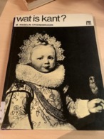 Wat Is Kant ?  M Risselin Steenebrugen - Praktisch