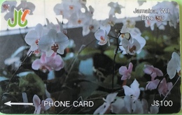 JAMAÏQUE  -  Phonecard  -  Flowers  -  J $ 100 - Jamaica