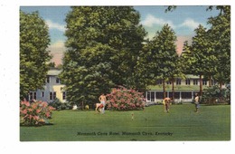 MAMMOTH CAVE, Kentucky, USA, Croquet Court At Mammoth Cave Hotel,  Old Linen Postcard - Mammoth Cave