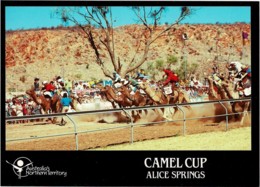 The Camel Cup. Alice Springs, Northern Territoy - Unused - Alice Springs