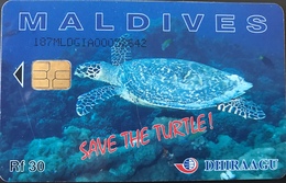 MALDIVES  -  Phonecard  -  DHIRAAGU  -  Save The Turtle  -  Rf 30 - Maldives