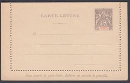 1892. SAINT-PIERRE-MIQUELON. CARTE -LETTRE 15 C. Gray.  () - JF321835 - Cartas & Documentos