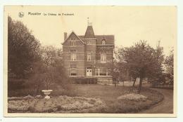 Moustier  -  Le Château De Froidmont - Frasnes-lez-Anvaing