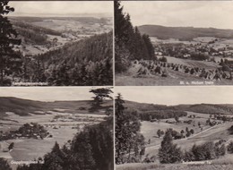 AK Erlbach Im Vogtland - Mehrbildkarte - Landesgemeindetal Hoher Stein Gopplesgrüner Tal Eubabrunner Tal 1966 (48760) - Vogtland