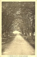 CPA - LOIRE-ATLANTIQUE - DERVAL, Avenue Du Boschet - Derval