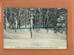 CPA - The Heart Of The Winter Woods , Point Pleasant Park , HALIFAX , N S - Halifax