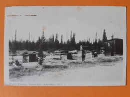 Carte Postale - Huskie Kennels , Goose Bay , Labrador - TCA 7 - Autres & Non Classés