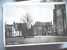 Nederland Holland Pays Bas Zutphen Met Kale Boom Bij Stadhuis - Zutphen