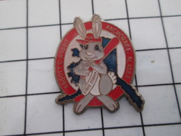 1116c Pin's Pins / Beau Et Rare / THEME : SPORTS / BASE-BALL ALASKA RABBIT - Honkbal