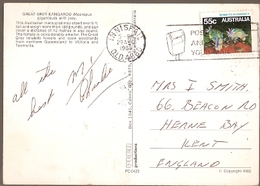 Australia & Marcofilia, Grey Kangaroo, Macropus Giganteus, Innisfail To Herne Bay England 1985 (433) - Storia Postale