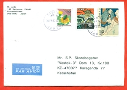 Japan 2002. The Envelope  Passed The Mail. Airmail. - Covers & Documents