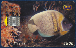 COSTA RICA ICETEL 500 COLONES UNITS CHIP PHONECARD TELECARTE UNDERWATER MARINE LIFE FISH GOOD USED - Costa Rica