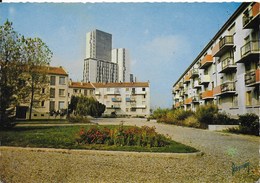 Vigneux - Nouveaux Immeubles - Vigneux Sur Seine