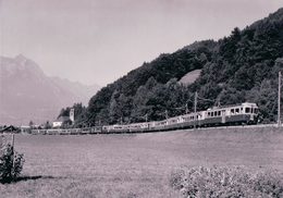 Berner Oberland-Bahnen, Train Près De Wilderswil, Photo 1988, BVA BOB 167.3 - Wilderswil