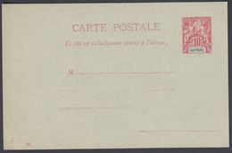 1900. GUYANE. CARTE POSTALE.  10 C. Red.  () - JF322140 - Lettres & Documents