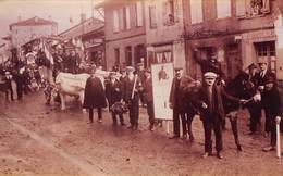 Verfeil      31     Fête Défilé  Bœufs Attelés Ane Retirage De Cliché Ancien      (Voir Scan) - Verfeil