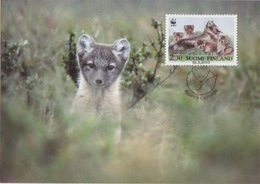 Finlande, 4 CP Max Des N° 1166 à 1169 (renard Arctique, été Et Hiver), Obl. Helsinski Le 19/3/93 Alopex Lagopus - Maximum Cards & Covers