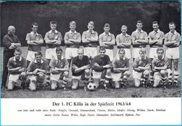 1. FC KOLN - Germany Football Club Old Photo 1963/64. * With Autographs On Back - Print * Soccer Fussball Deutschland - Authographs