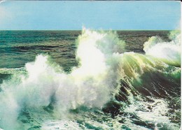 Poitou Charentes - Effet De Marée D'équinoxe - Poitou-Charentes