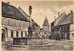 CPSM 67 MUTZIG VIEILLE PORTE ET FONTAINE Auberge A L Ours Noir    Grand Format 15 X 10,5 Cm - Mutzig