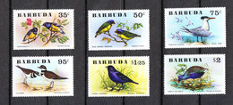 Barbuda  - 1976. Rara Serie Completa Di Passeri E Sterna Reale.Rare Complete Set Of Sparrows And Royal Tern. MNH - Spatzen