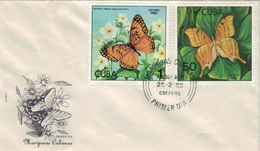 Mariposas Cubanas - Euptojeta Hegesia - Marpesia Eleuchea - 1982 - Brieven En Documenten