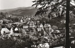 SCHMIEDEBERG-KR. DIPPOLDSWALDE-REAL PHOTO - Schmiedeberg (Erzgeb.)