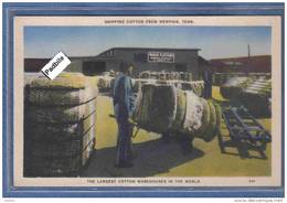 Carte Postale Etats-Unis  Memphis Shipping Cotton  Trés Beau Plan - Memphis
