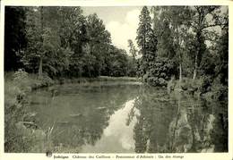 026 673 - CPSM - Belgique - Jodoigne - Château Des Cailloux - Pensionnat D'Athénée - Jodoigne