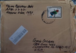 O) 1991 CUBA. SPANISH ANTILLES, BIRDS - MELLLISUGA HELENAE LOCAL BIRDS EMS SC 3334 16.45p, TO USA - Lettres & Documents