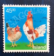 Polli D'Islanda - Icelandic Chickens - Oblitérés