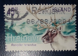 Renna - Reindeer "Rangifer Tarandus" - Gebraucht