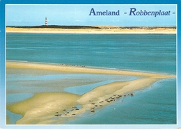 Ameland - La Plage - Ameland