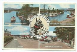 Scotland Postcard Dunbartonshire Scotty Dog Multiview  Best Of Luck Balloch ,loch Lomond Posted 1957 - Dunbartonshire