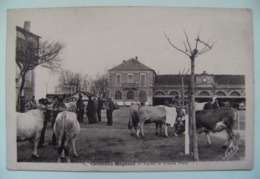 CPA 65 Castelnau-Magnoac - Le Foirail "Marché Aux Bestiaux" - Vue De La Grande Place Animée    A Voir ! - Castelnau Magnoac