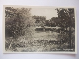 T50 Ansichtkaart Den Helder - Donkere Duinen - 1948 - Den Helder