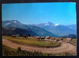 Switzerland, ALPE DES CHAUX - La Chaux