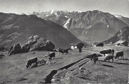 Verbier - Val De Bagnes - Bagnes