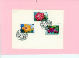 "fleur" - Floralies Gantoises - COB 2589/2591 (série Compl) Avec Cachet Spécial 1er Jour De Mise En Vente (voir Descr) - Herdenkingsdocumenten
