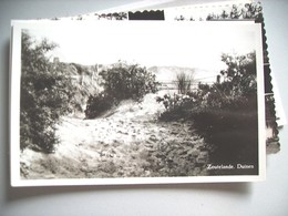 Nederland Holland Pays Bas Zoutelande Pad Door De Duinen - Zoutelande