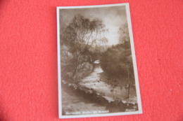 Cumbria Borrowdale Birches 20 Keswick By Mayson 1930 - Borrowdale