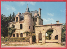 56-PLUVIGNER- Le Château De Rimaison  *SUP* 2 Scans - Pluvigner