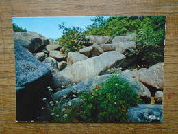 Callac-de-bretagne , Et Ses Environs , Les Gorges Du Coroug Entre St-servais Et Locarn - Callac