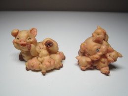 2 COCHONS Pour Collection. - Varkens